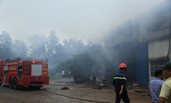 Bình Dương: Cháy lớn thiêu rụi xưởng giấy